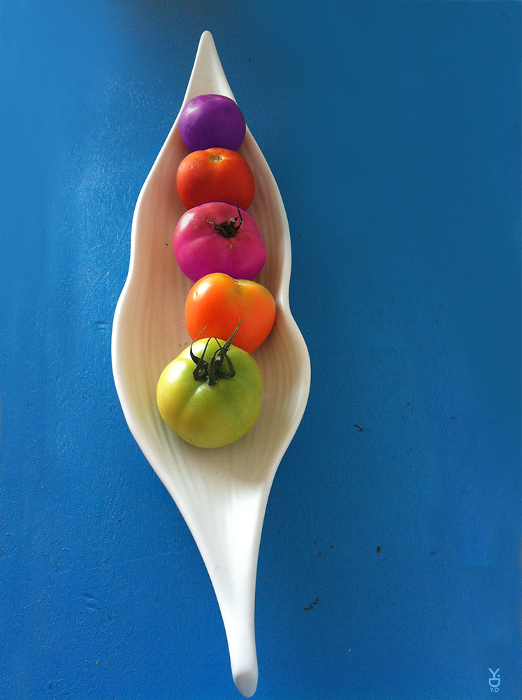 Colors of Birth — Size on demand